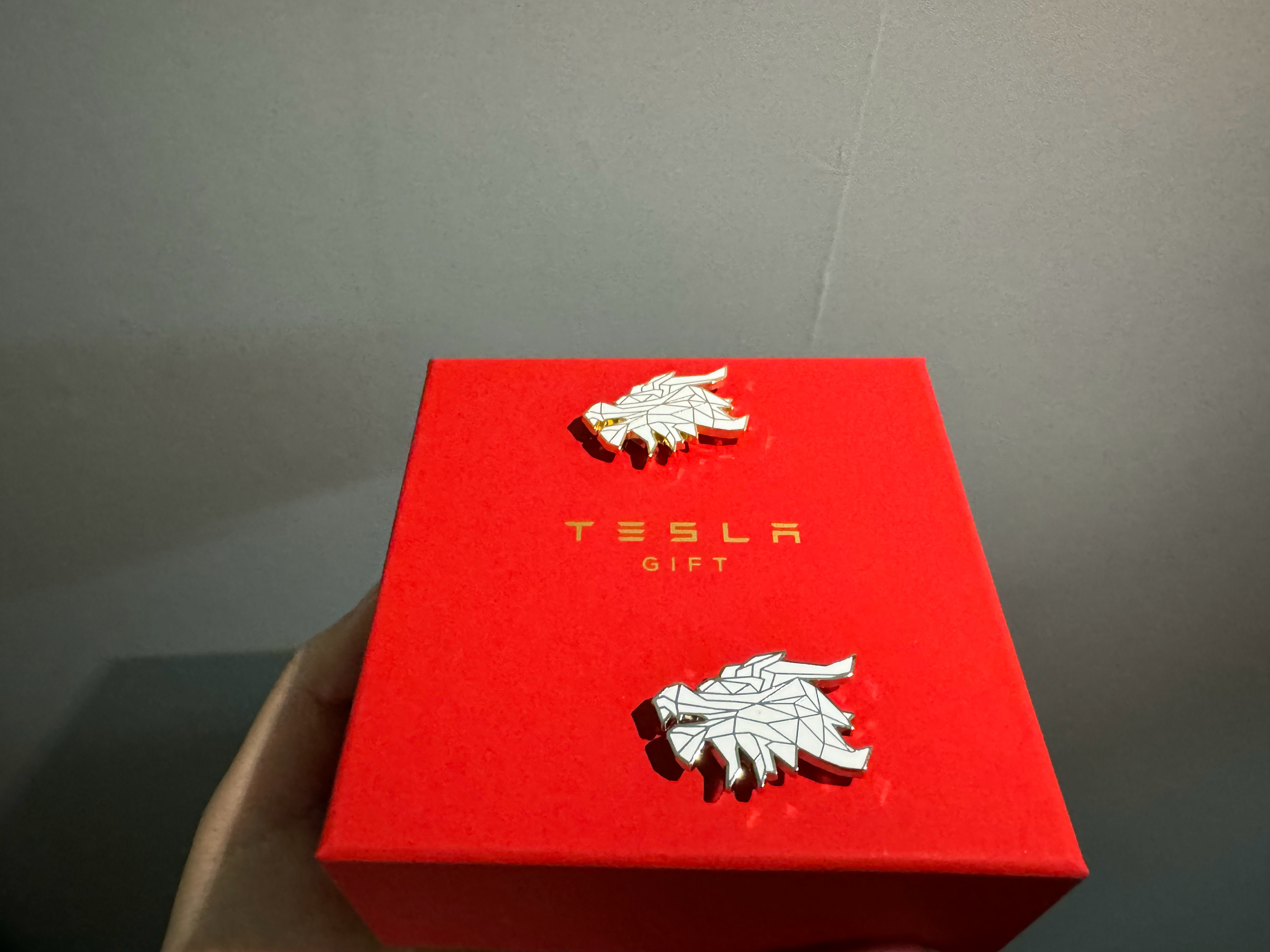 Tesla特斯拉送来的金银双龙会！颜值还是可以的吧？ ​​​