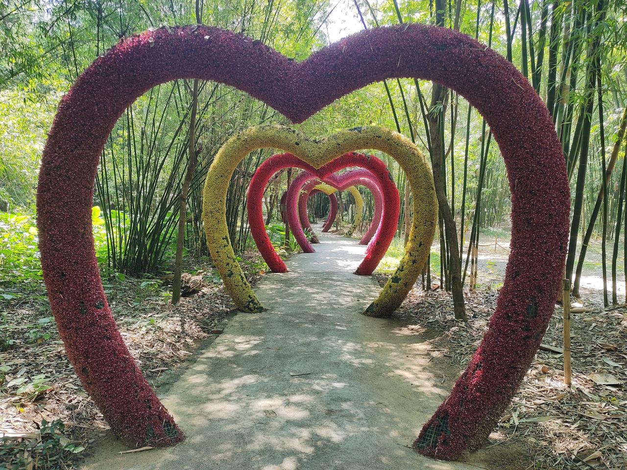 清远绝美之地！漫步竹林爱心廊道，邂逅清远诗意乡土！

藏于竹林间的浪漫秘境，就在