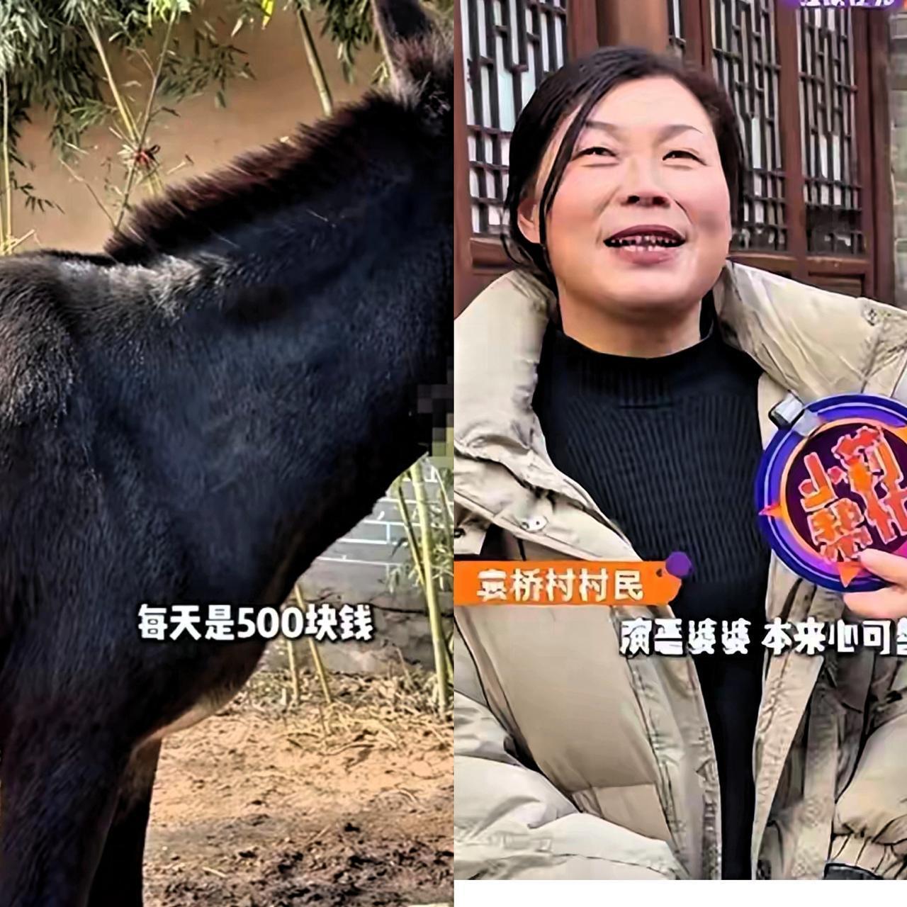 谁能想到啊，驴一天片酬500元! 
河南600年古村全员“演技派”，几乎人人都能