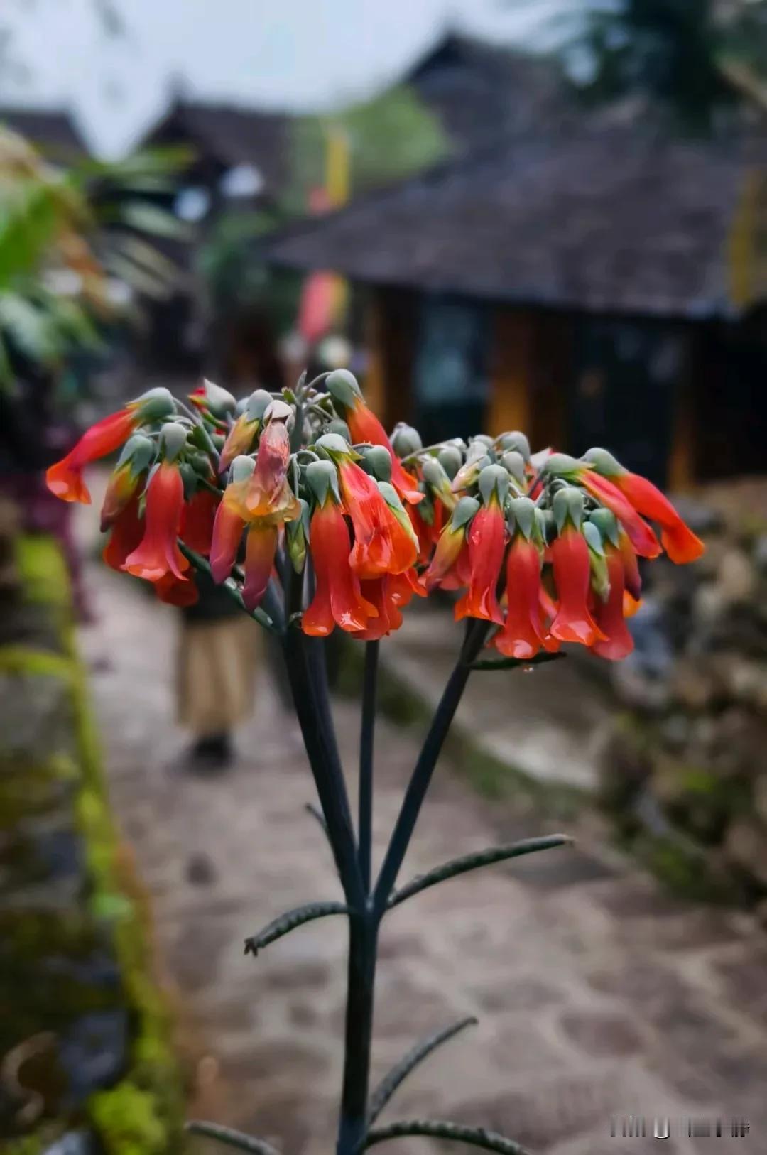 Struggle is not only when others go you 