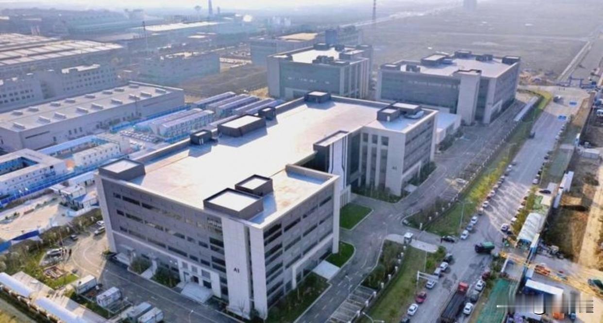 年薪30万起步，安徽大学成最大赢家？长鑫科技校招名单背后的“财富密码”


当“