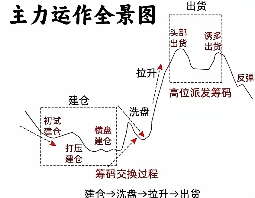 股市里的韭菜总害怕错过，但是他们不知道，别做错才更重要！赚不到钱不可怕， 