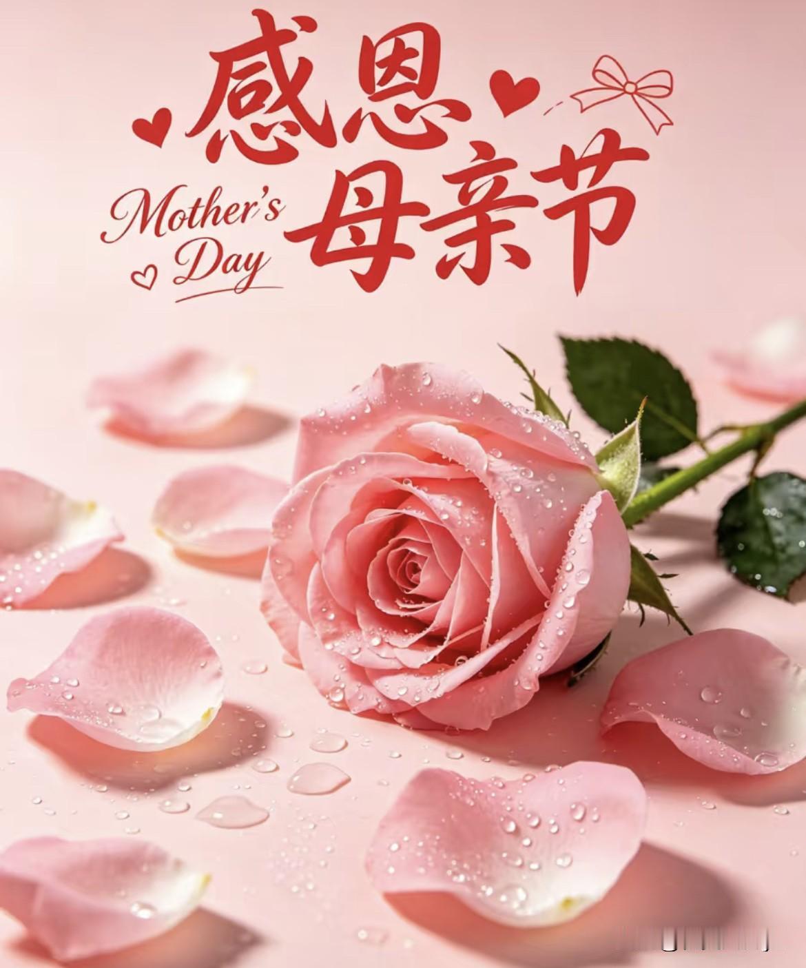 今天母亲节，你们准备了什么礼物？
我什么也没准备，可能我太笨了吧，每年买的东西，