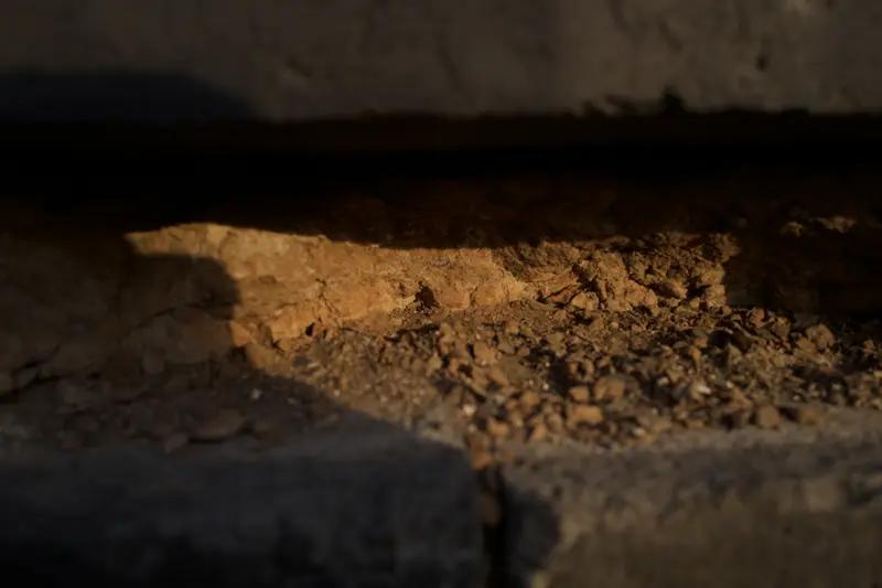 有人熬不过琐碎，
 撞破墓碑寻出路。
 有人守得住平淡，
 在墓底种出花。[赞]