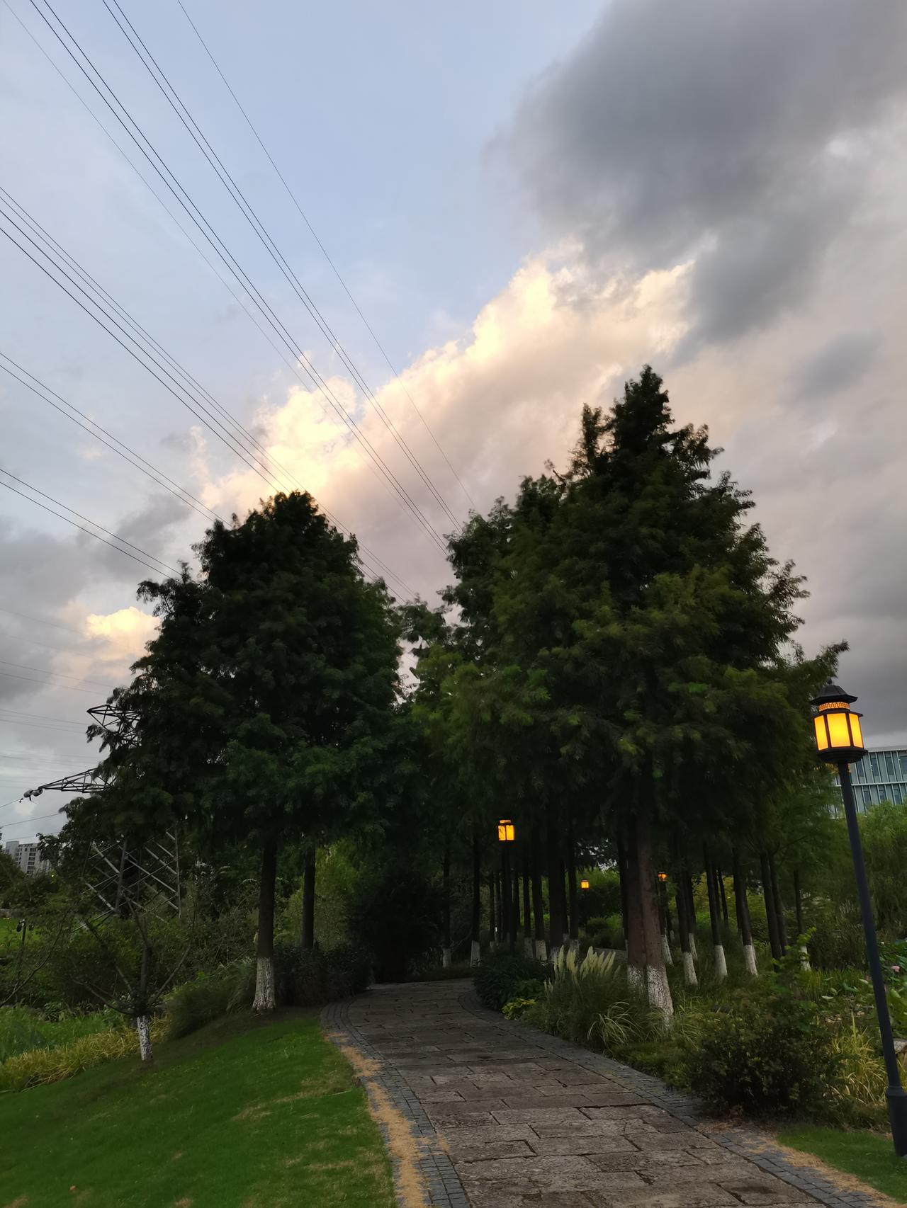 梦见我那百岁老奶躺在床上，
给她孙子和另外两女生每人3000元红包，
就给我10