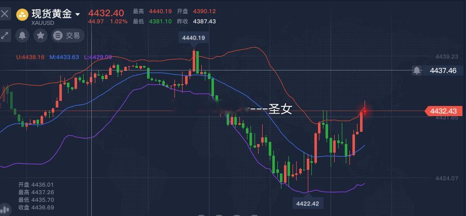 黄金空，参考黄金金价宇树科技股价坐上过山车 ​​​