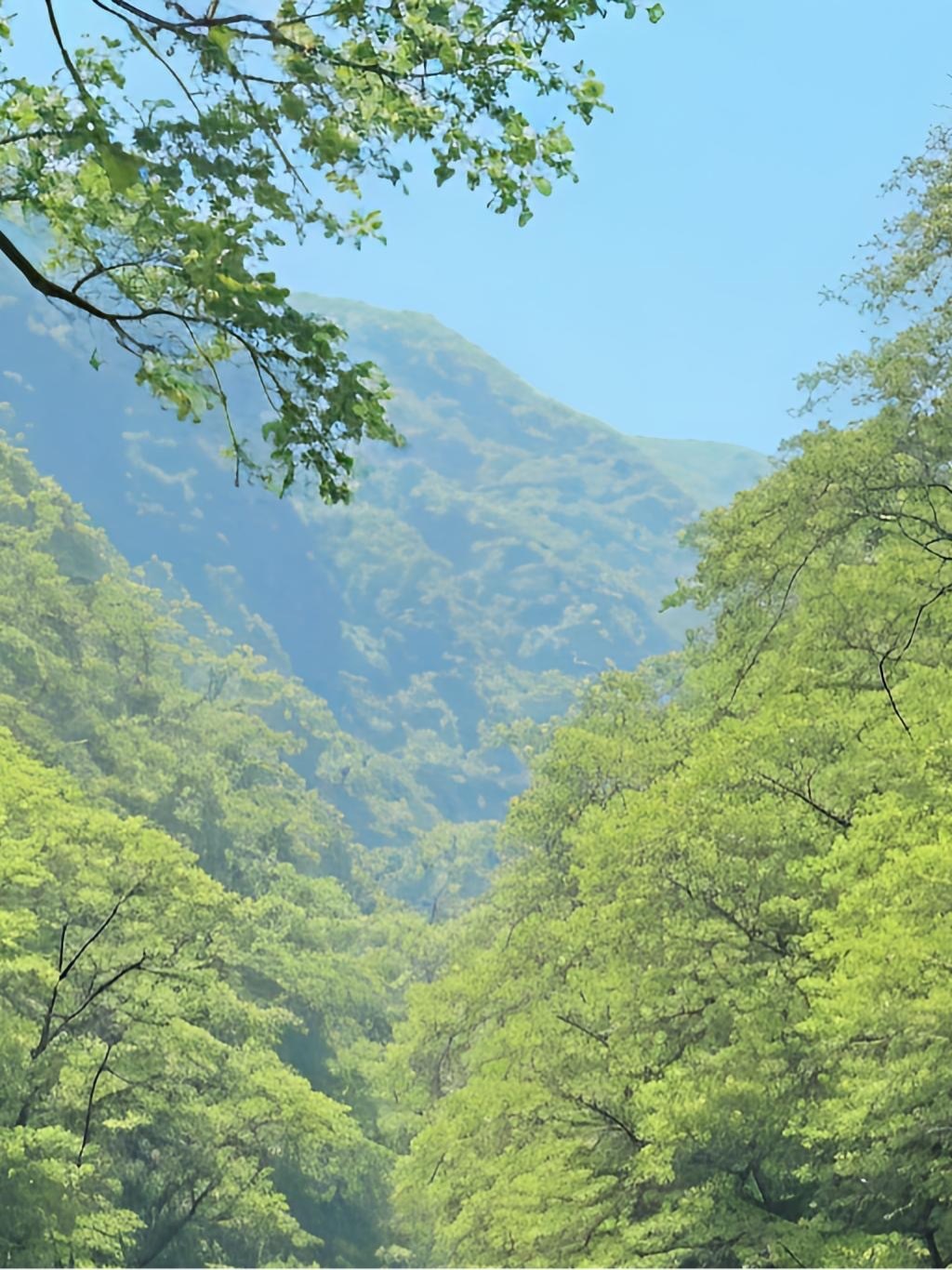 1000俗话说“海纳百川，有容乃大”。固执己见，只会故步自封；做一个心态开放、宽