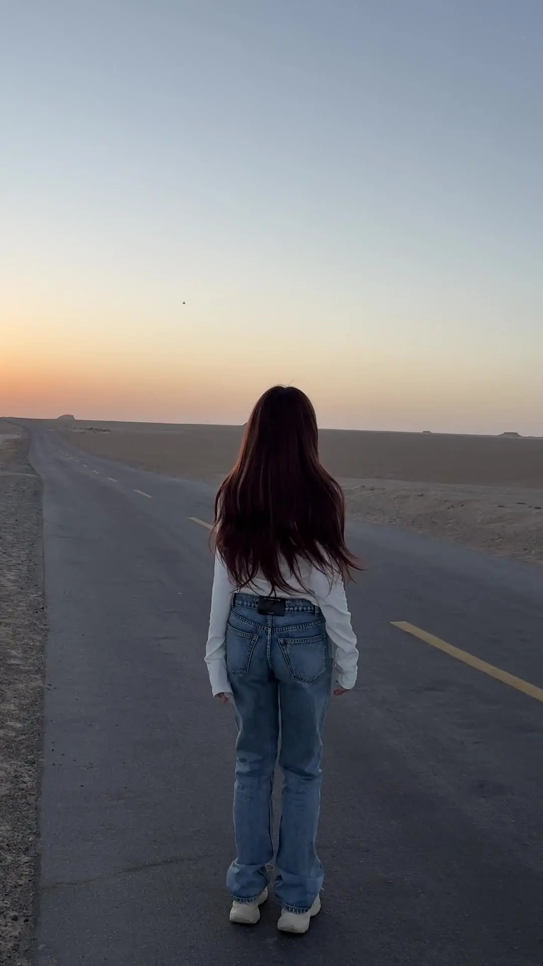 总有一天我会打破身上的枷锁 追随我所渴望的自由