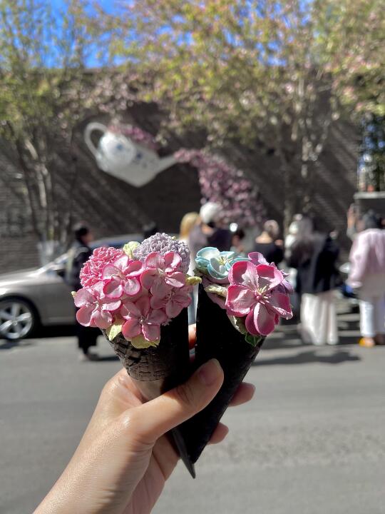这是谁的海棠冰淇淋花花呀🍦🌸