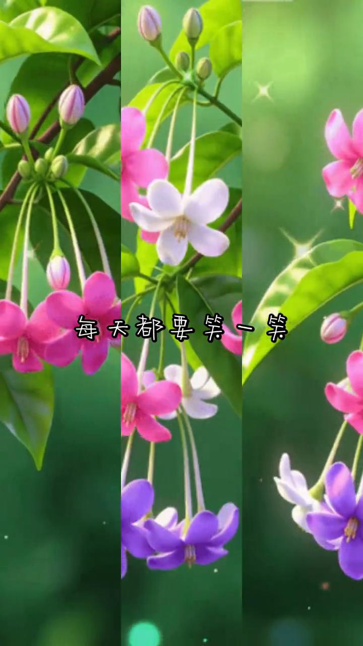 每天都要笑一笑。