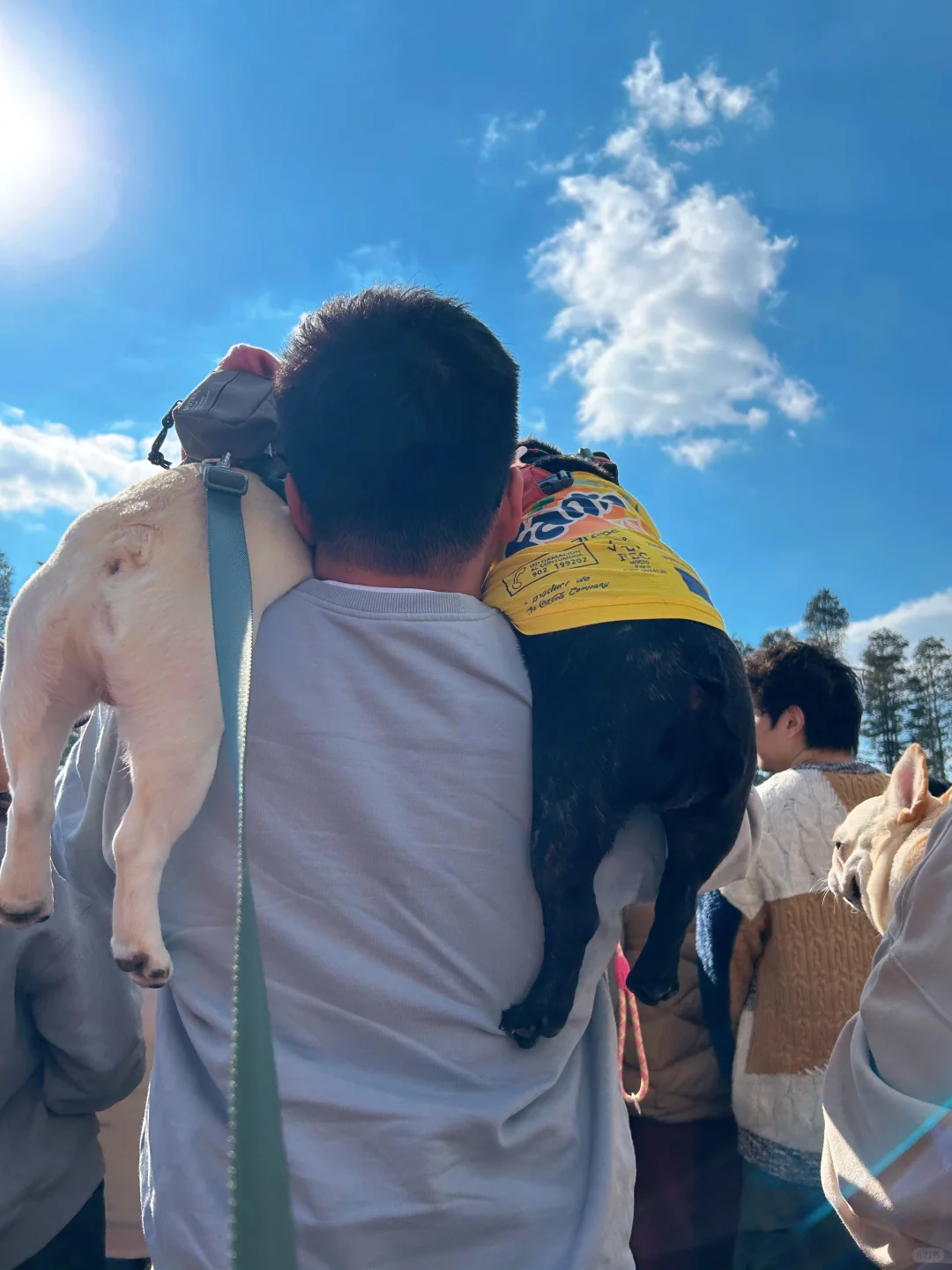 法猪猪🐖🐶都要长命百岁！