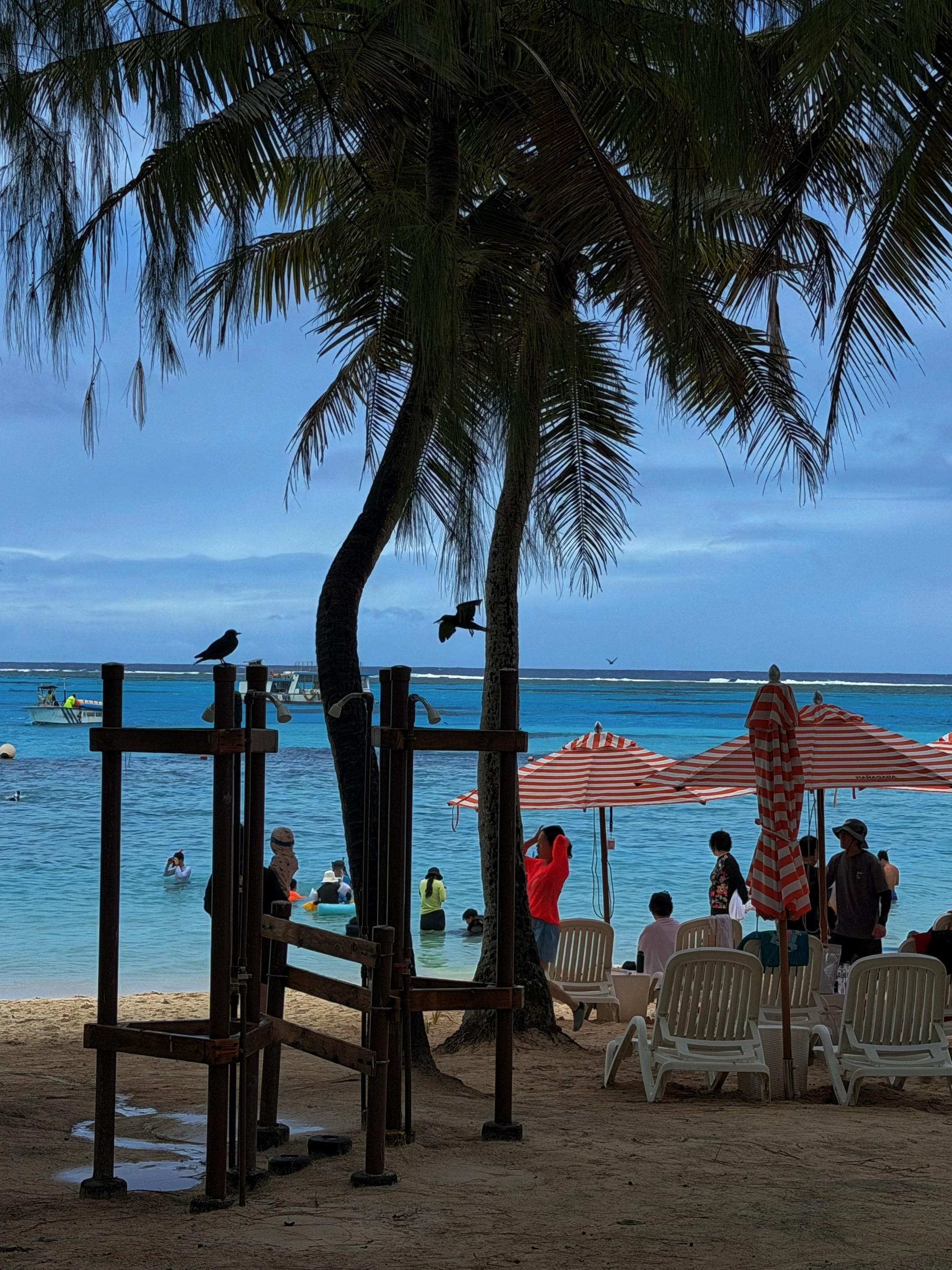 军舰岛的果冻海会发光  热带的海风伴着潮湿吹过 我的快乐最重要