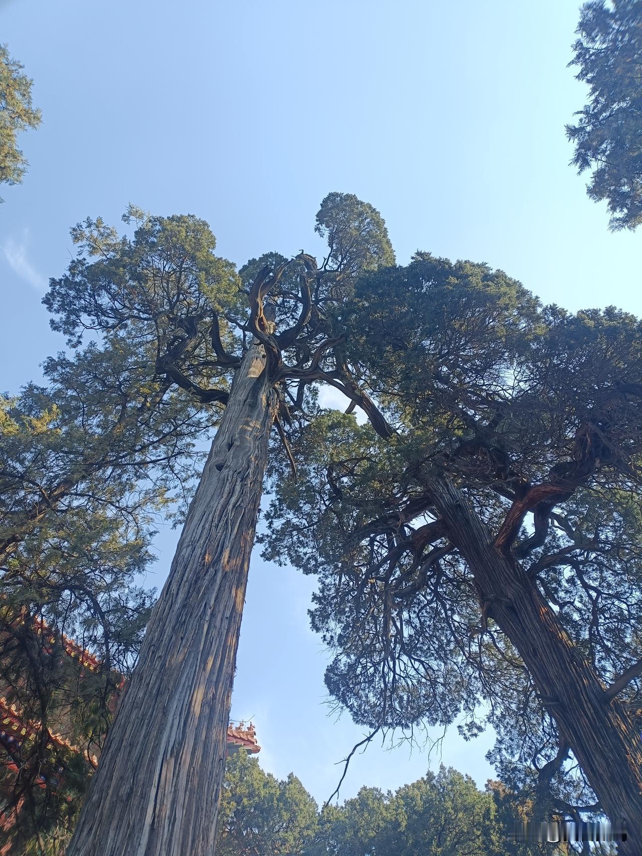 “如果别人说两句，你就受不了了，被两句话干扰的吃不好、睡不好，你想你有多脆弱啊。