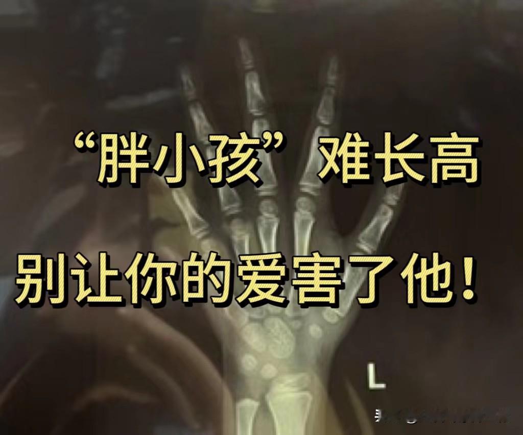 作为儿科医生，有句话不吐不快： “胖小孩”难长高，别让你的爱害了他！

有很多家