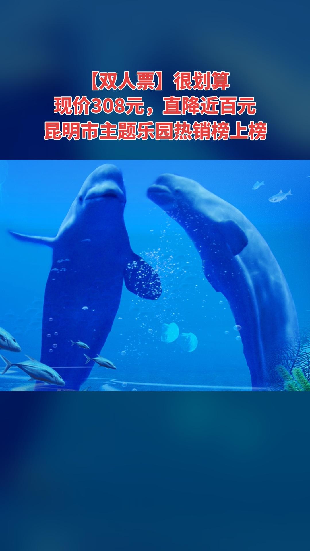 冰雪海洋世界，上新啦！快来买它，4.4分推荐，【双人票】（注意，叠加立...