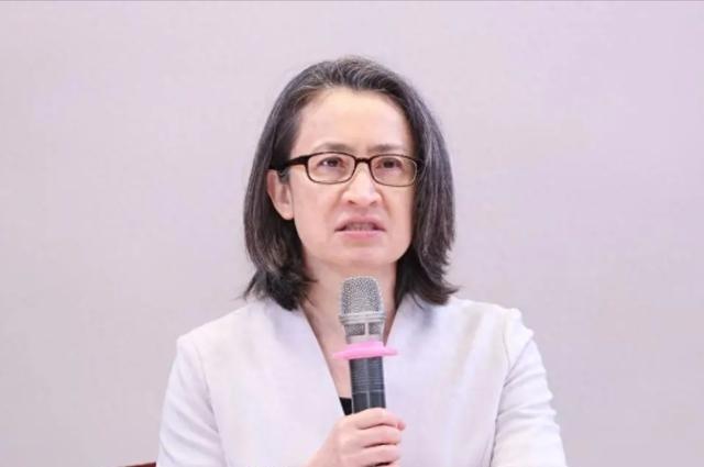 赖清德的副手、民进党当局人物萧美琴，此前于挪威接受媒体专访时曾称，台湾地区现行条
