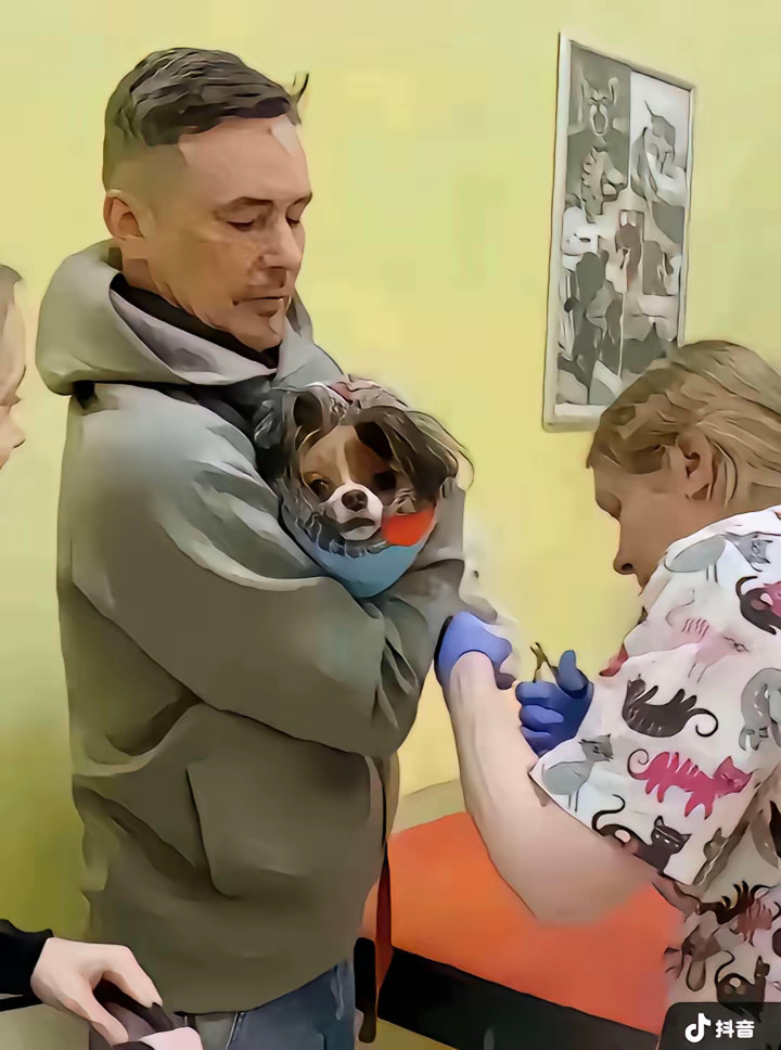 看了N次还是觉得好好笑:-D 