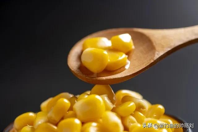 制作“钓鱼老谭玉米”（一种用于打窝或作钓饵的发酵玉米）的步骤如下，这种饵料因其发