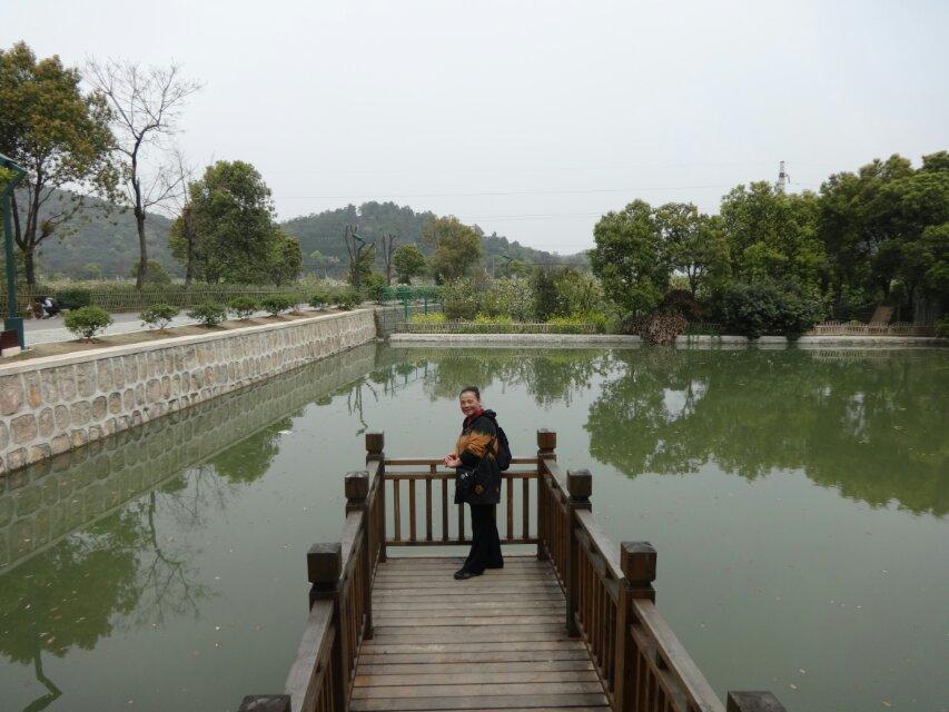 今天与好友相约去树山观梨花，照片是多年前的，现在估计拍不到与梨树的近照，因为都被