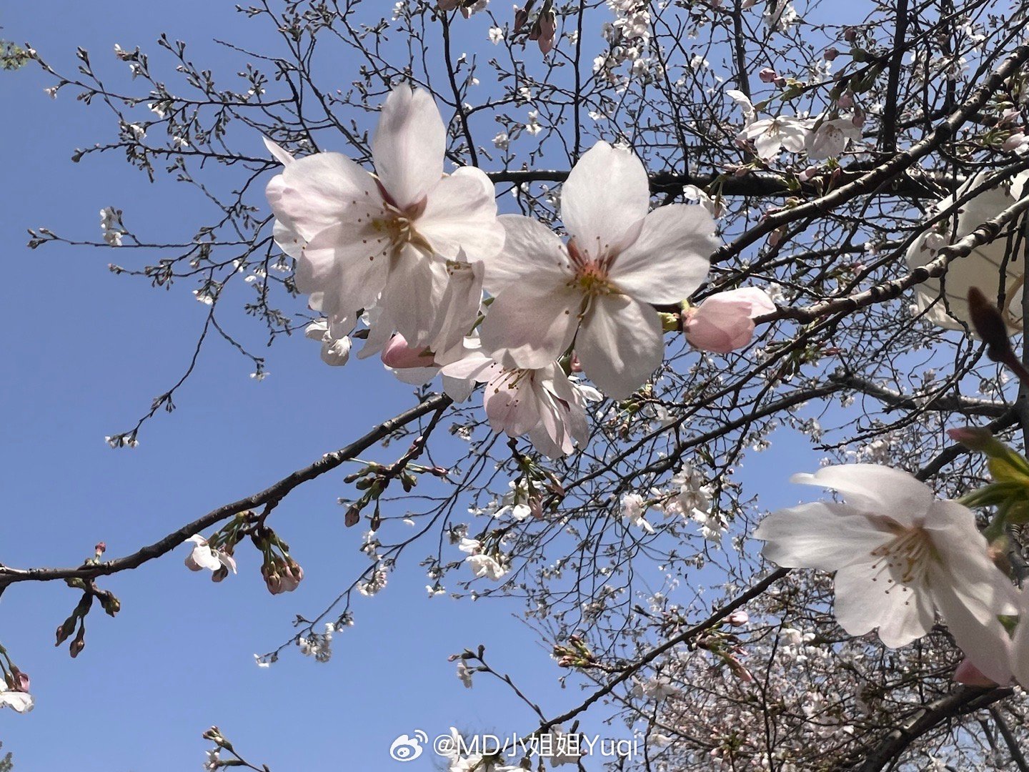 假期最后1天 昨天饿了一天，今天我要去吃顿好的[微笑] ​​​