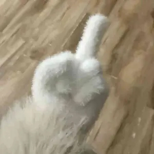 生气，前后标准都不一致，草台班子 ​​​