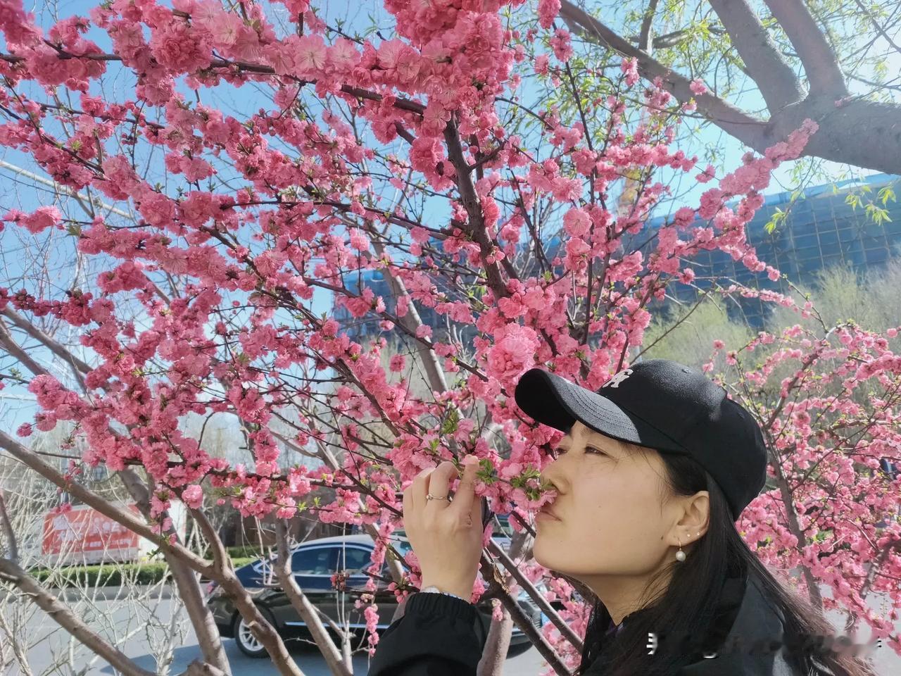 分享一张最近随手拍的照片