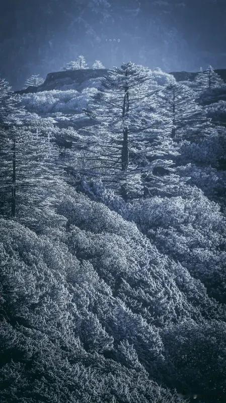 对联可是咱老祖宗留下的文化宝藏，这“高山自有千年雪”上联一出，就感觉那巍峨高山上