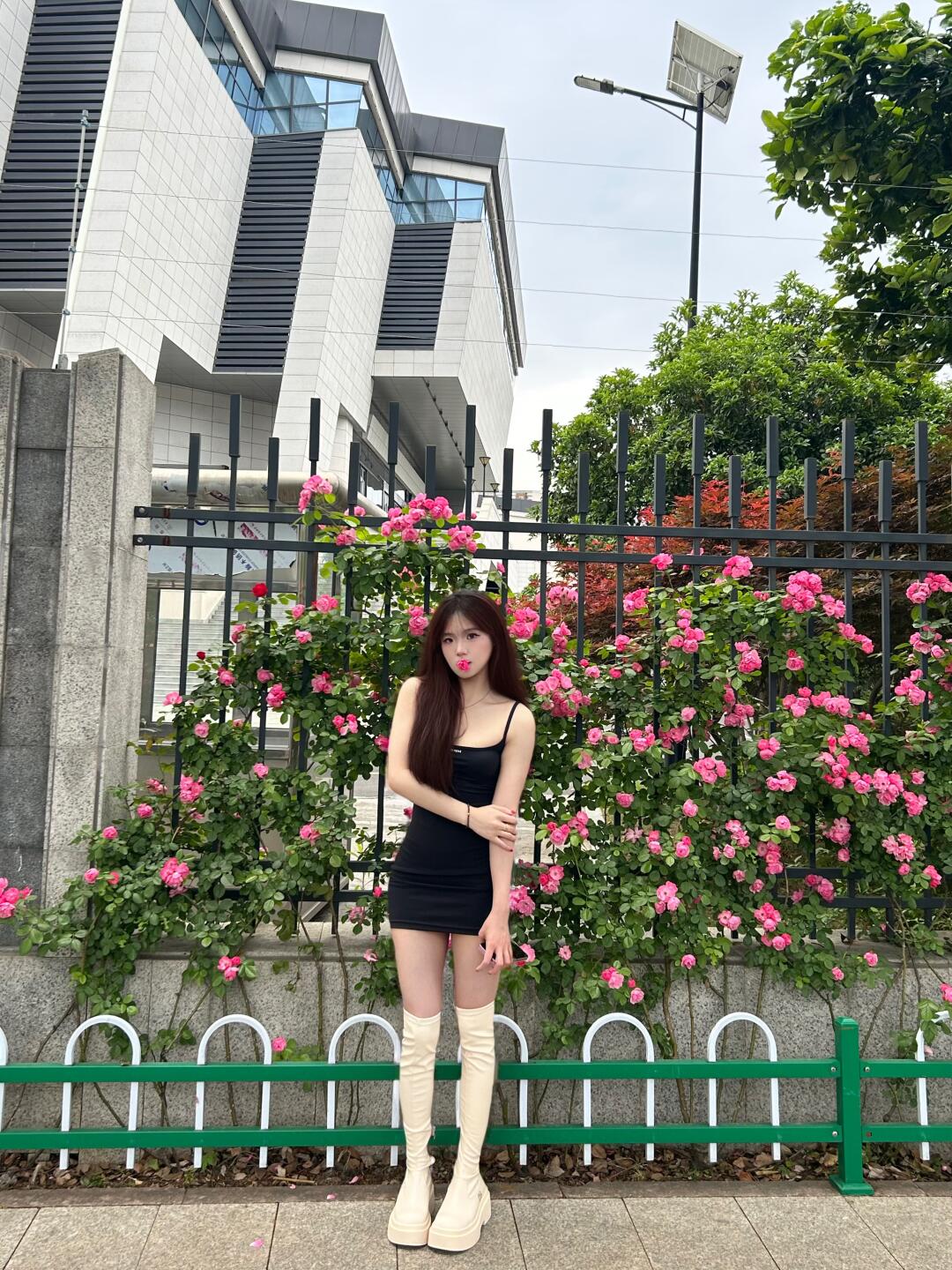 杭师大的蔷薇花开了