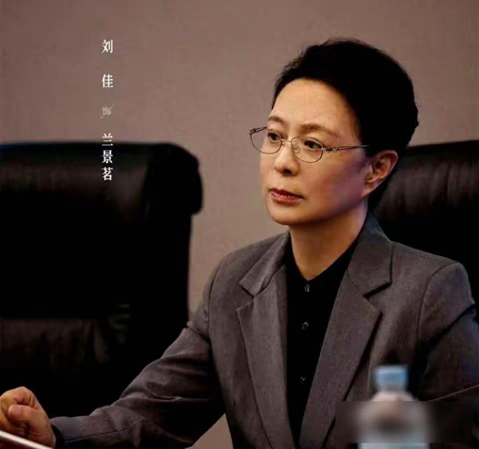 连夜看完以法为名，感觉最大硬伤就是录音，陈胜龙感觉没那个智商跟远见，还能录音，也