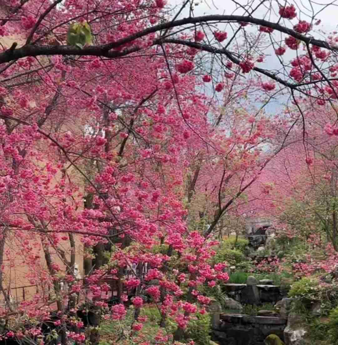 开心一刻:[比心]


男:你不要得外面说我没出息嘛！
​
​女:我得外面说是为