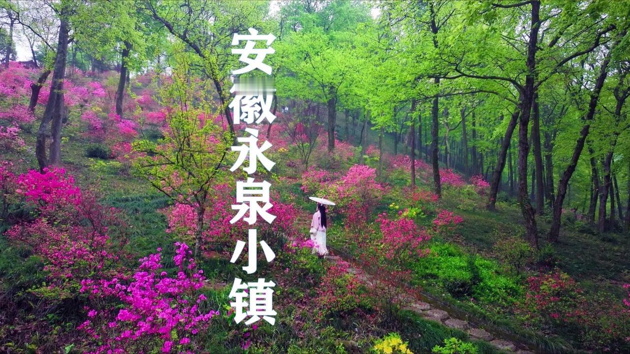 🌸安徽铜陵，人间四月天，漫山杜鹃红🌸

🔹90%的人都不知道，在安徽铜陵还