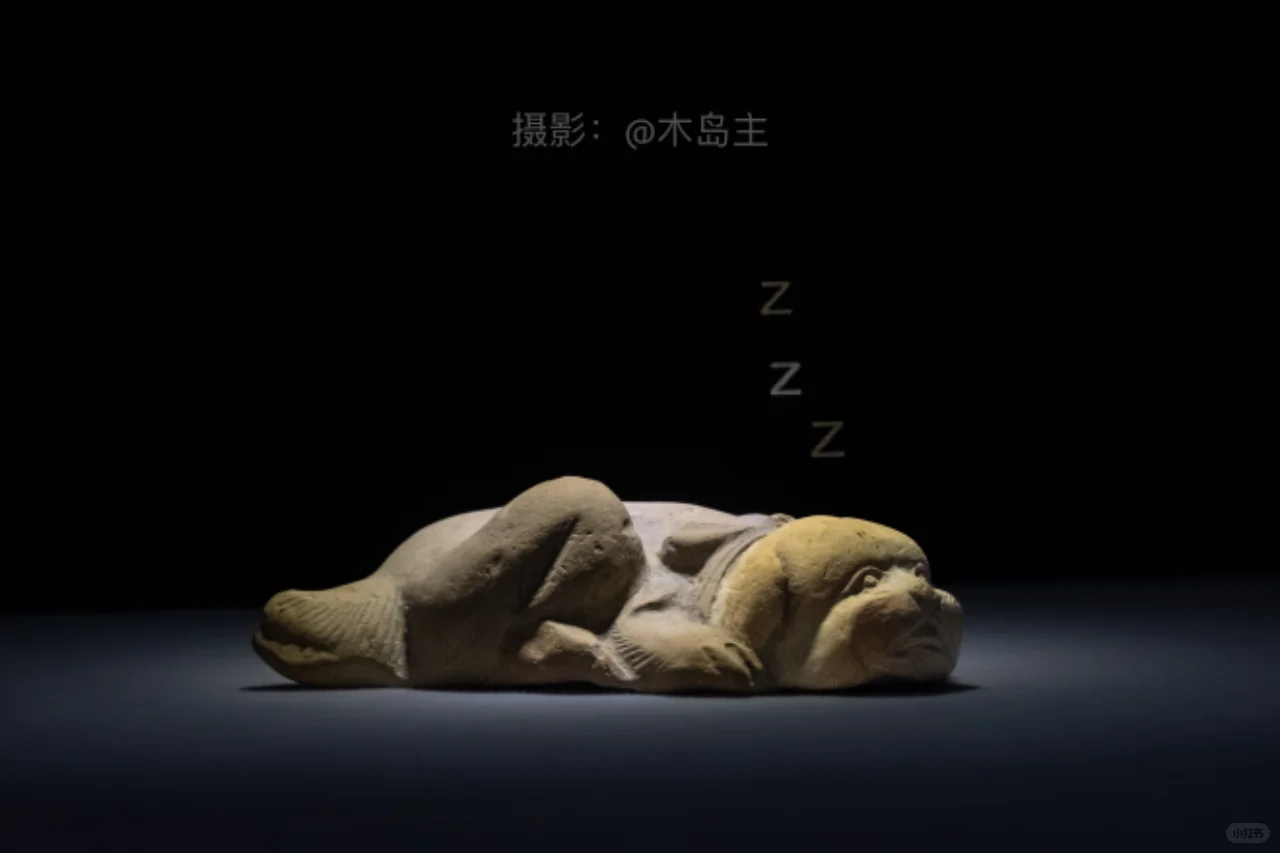 这个狗子，仅此一只