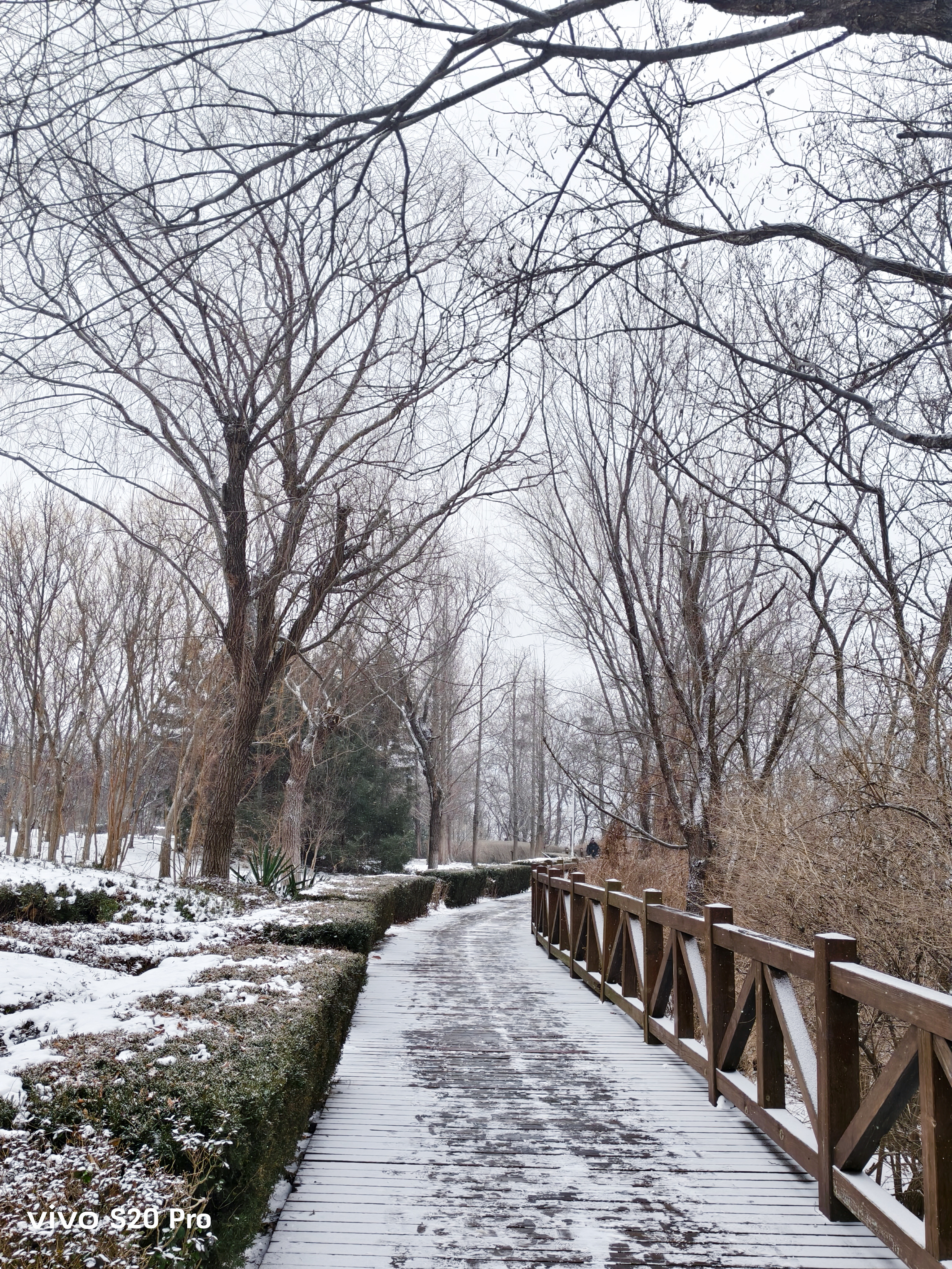 春节旅游休闲去哪玩 今年的雪似乎都下在了春节期间，整个水库被皑皑白雪温柔包裹，像