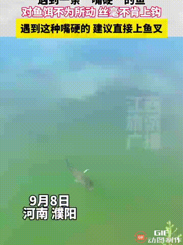 河南濮阳一名男子去钓鱼时，发现了一条“嘴硬”的鱼，无论他如何把鱼饵送到它面前，它