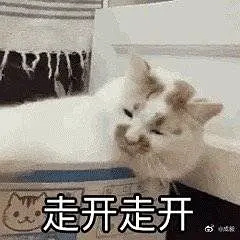真的很喜欢在原始海洋里飘荡，饿了就喝水困了就睡的日子，哪天醒不过来了就是被吃了。