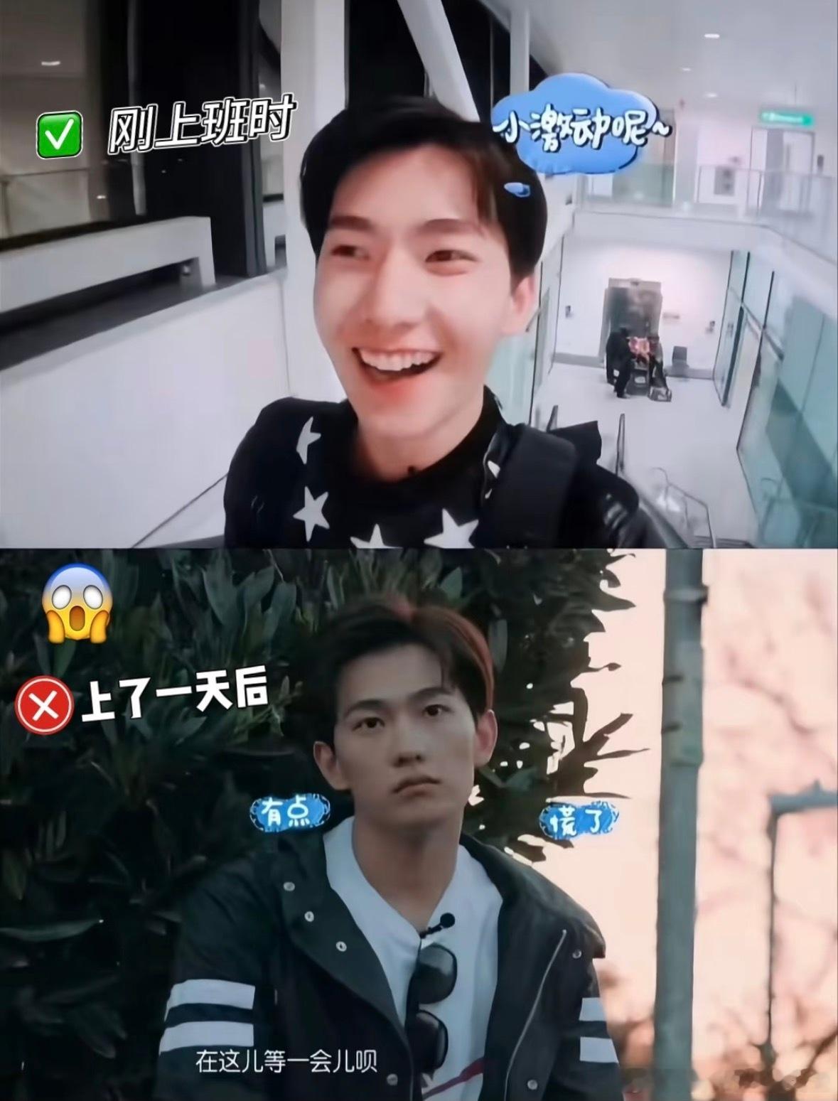 井柏然花少下沉口碑花少2只有陈意涵杨洋是真来旅行的 《花少2》一个隔一阵就要火一