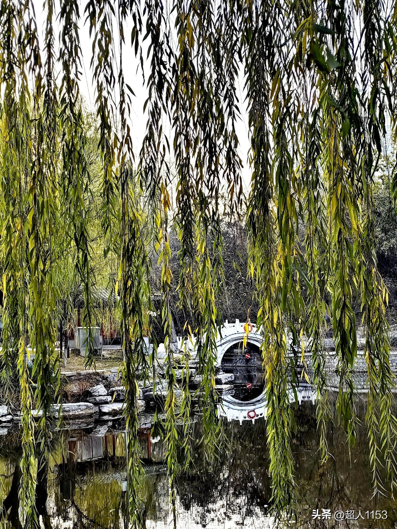 下午3点石家庄的天气，
气温是8度、阳光灿烂又明媚。因为感冒也耽误了结账，今天我
