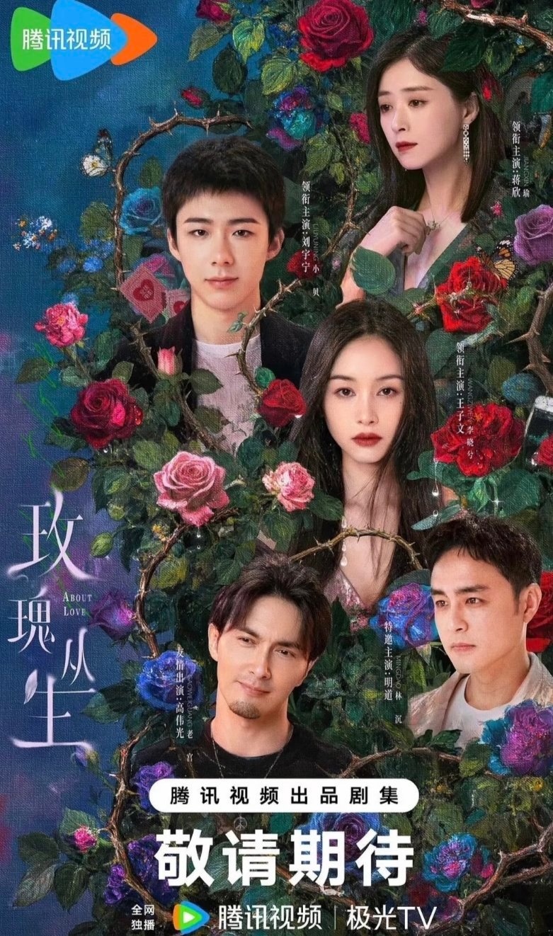 玫瑰丛生播出效果如何？ 