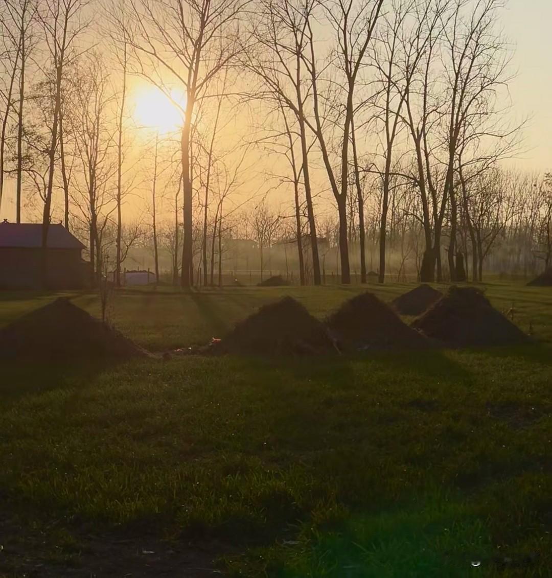 殡葬新规来了
关乎每个人的身后事
3月30日开始实施，估计农村传统殡葬这个方式，