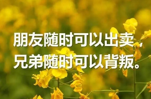 别怕被人说朋友少，不合群。鲁迅先生都说，人生得一知己足矣，难道我们普通人的交际还