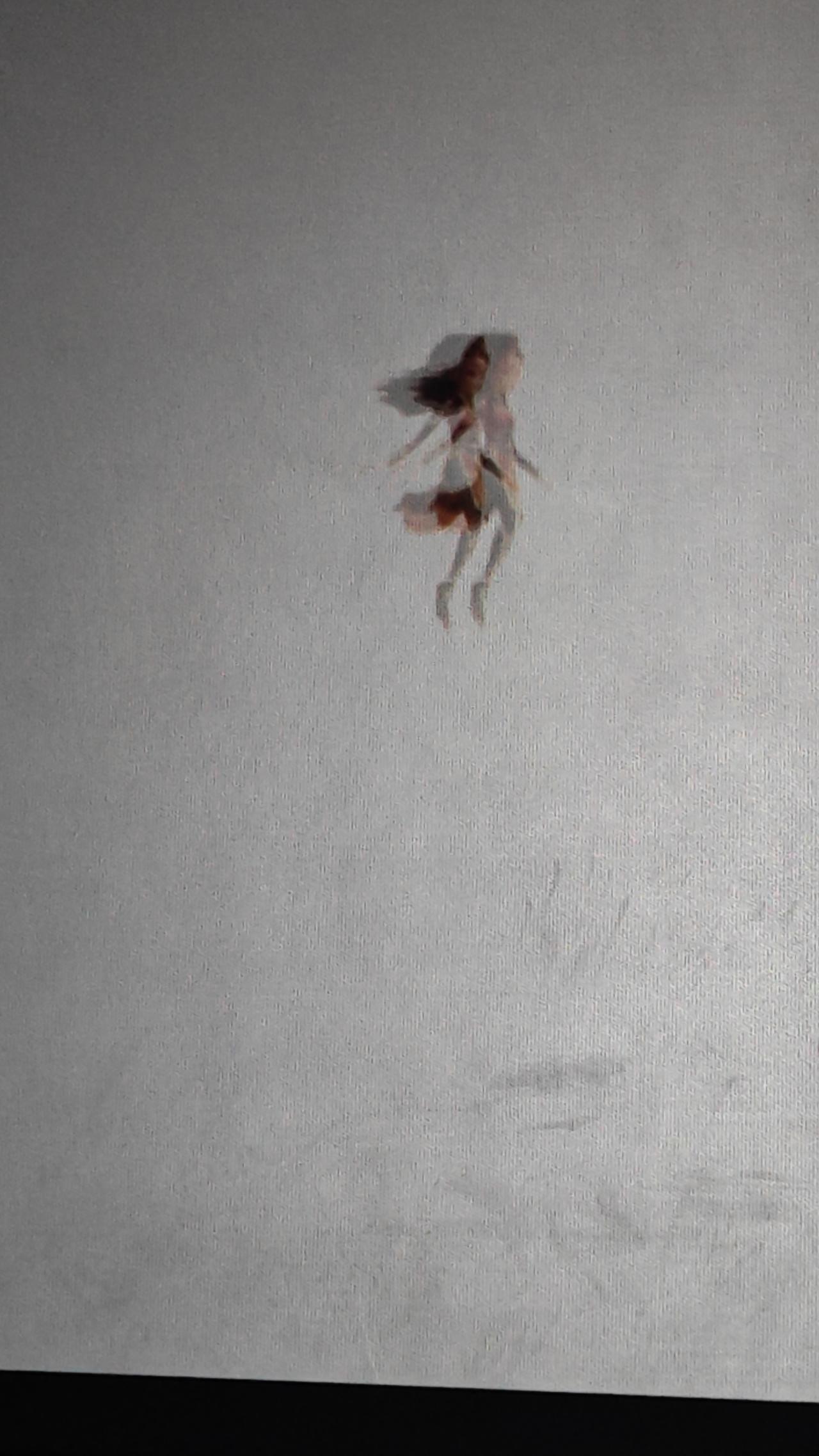 美以袭击伊朗的目的是什么掠夺伊朗石油，还有断东大的臂膀

美国对伊朗开战 美国要