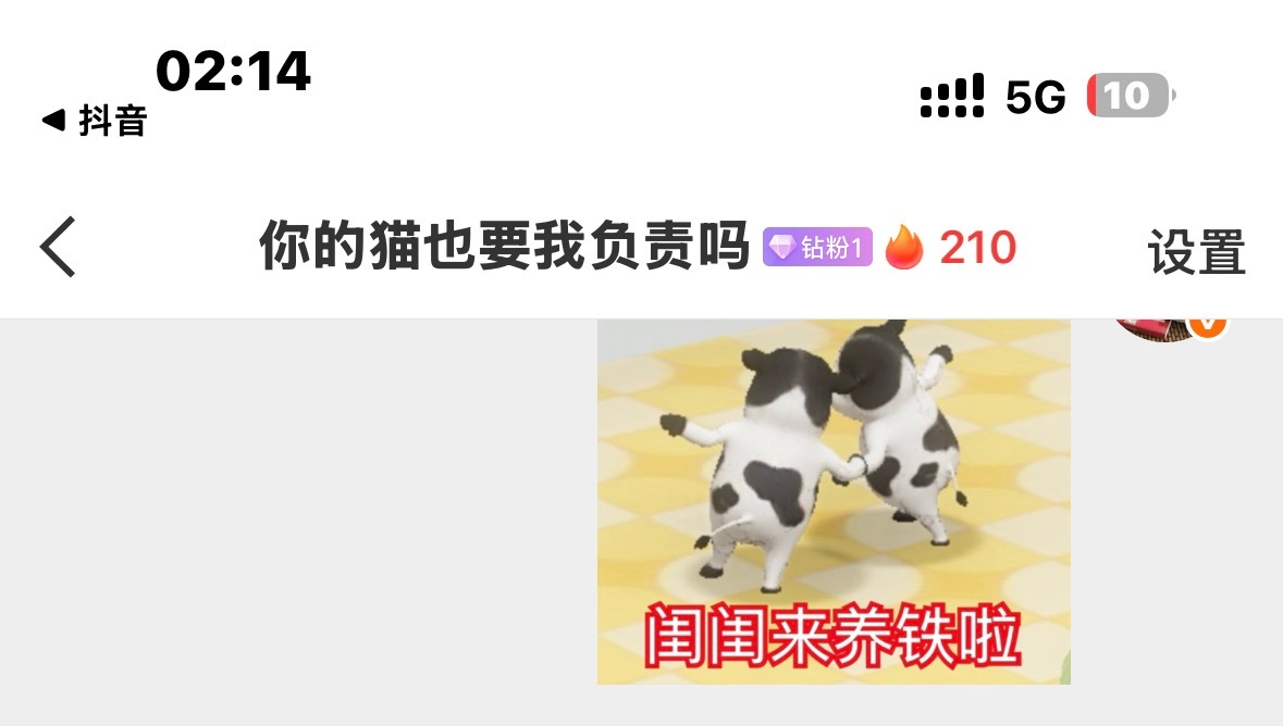 蛋蛋可以登基了好不 