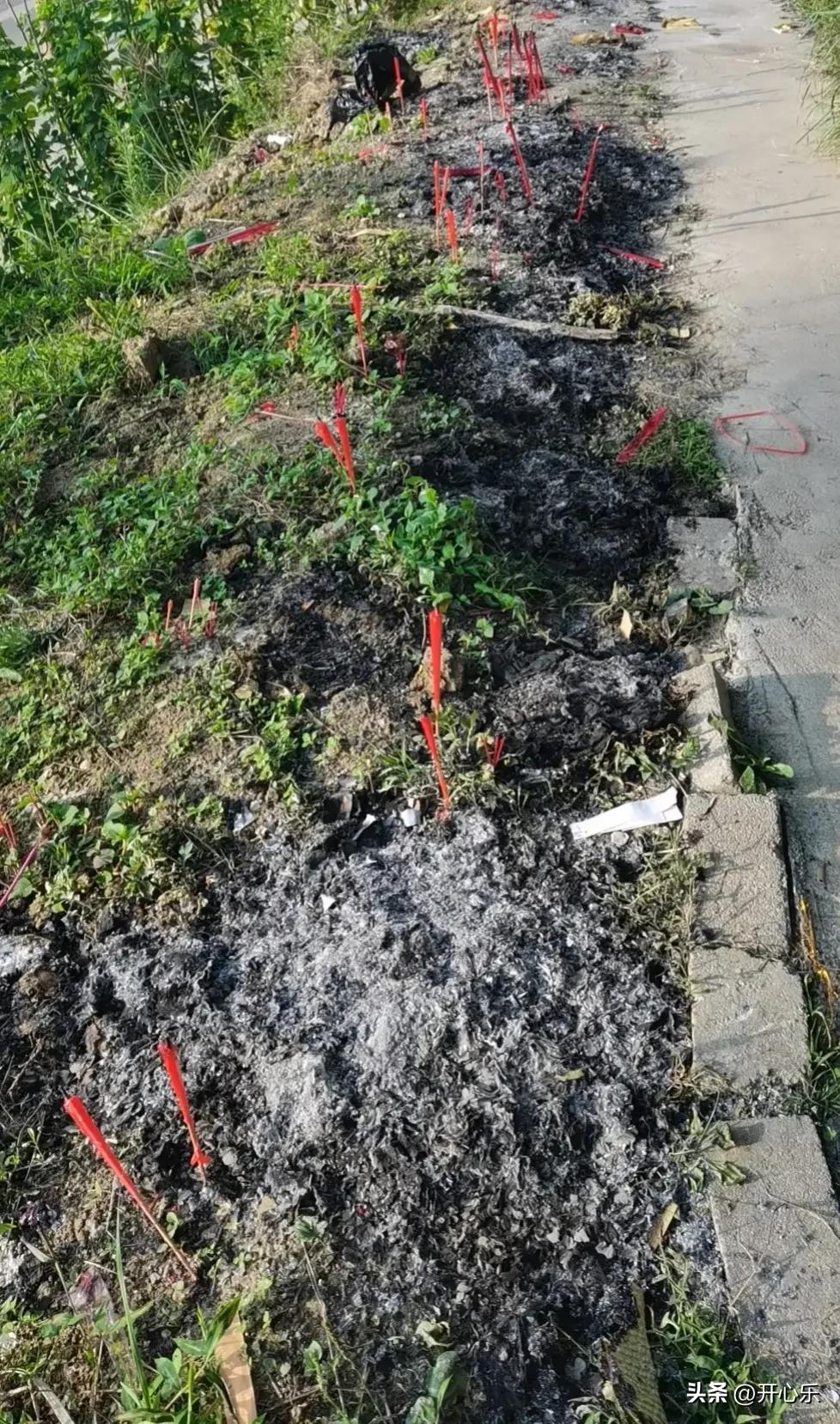 中元寄哀思，公园烧纸习俗该理性看待

七月半中元节，是川渝人缅怀先辈、寄托思念的