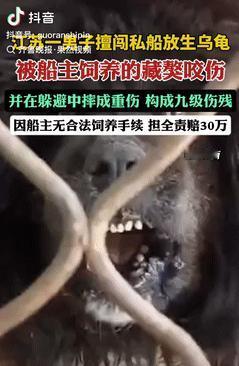 不作死就不会死！今年8月报道江苏常州，一船主养了一只藏獒看家，这事儿的主角是个姓