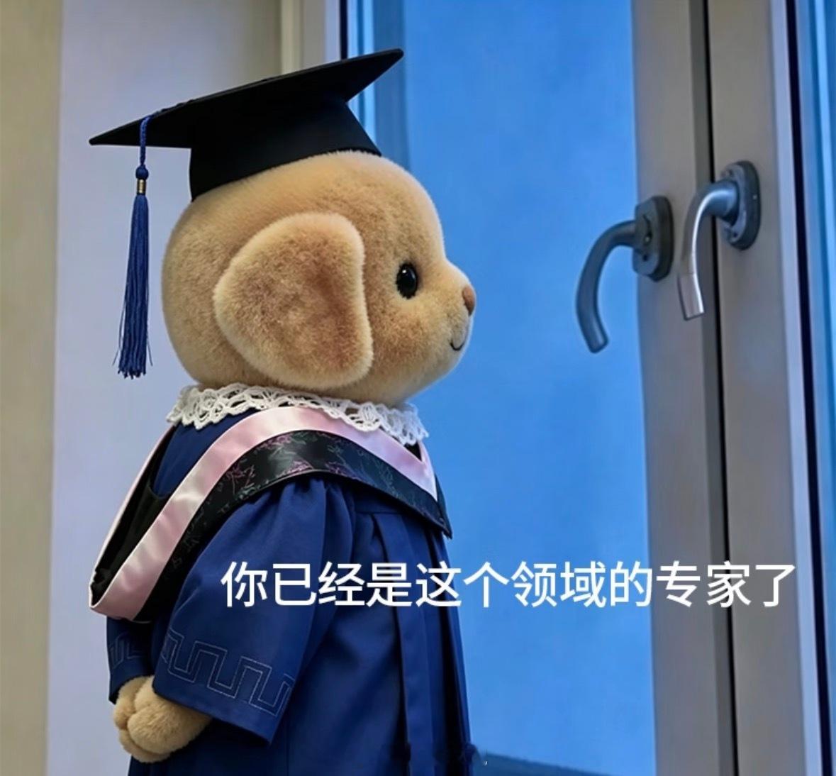 毕业届有自己的演员请就位每届毕业生都上演着现实版演技大戏。面试周旋、人情客套，不
