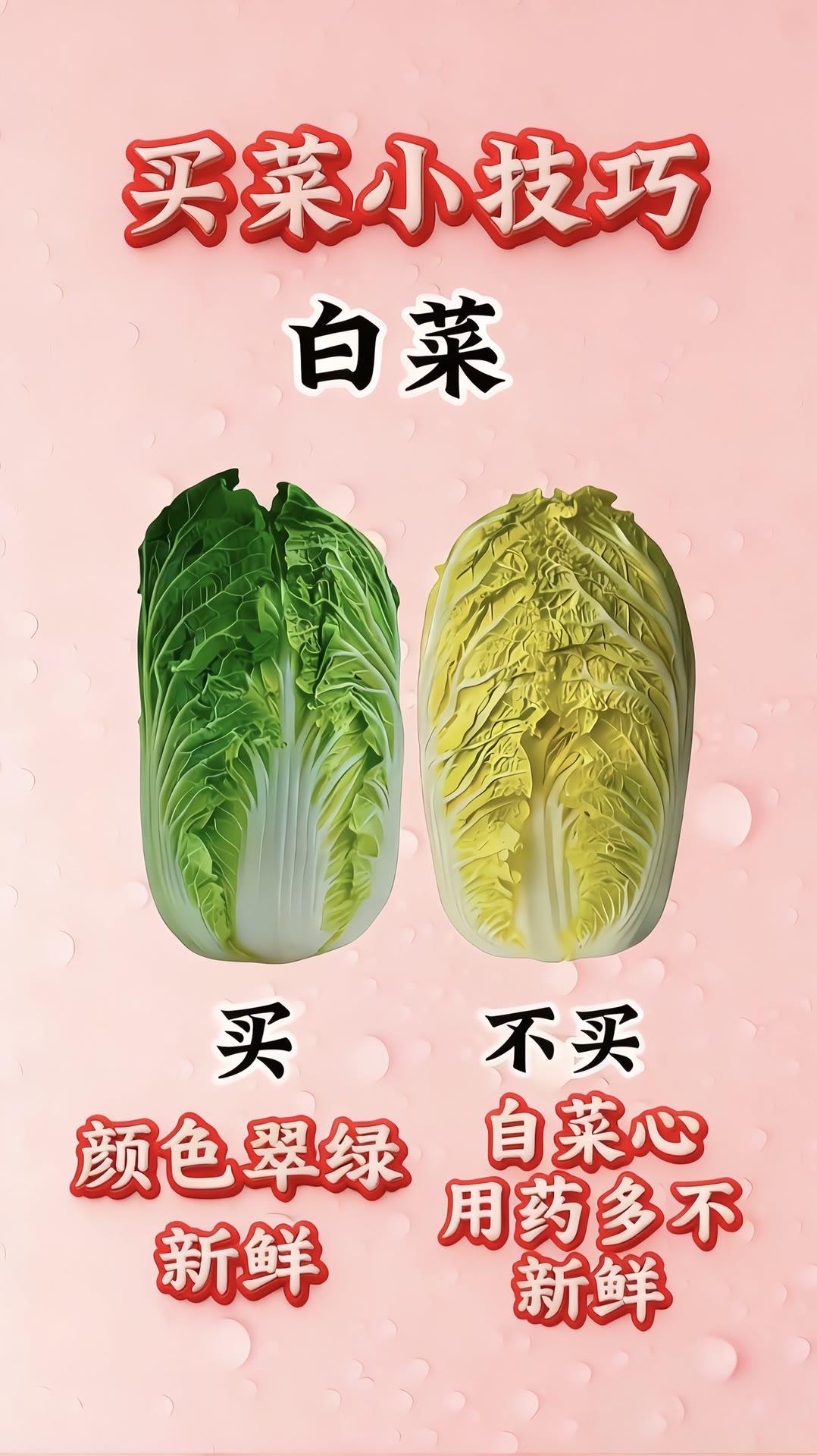 买菜小技巧。买菜挑不对，白费功夫又吃亏！这份超实用买菜小技巧快收好：白菜选翠绿新