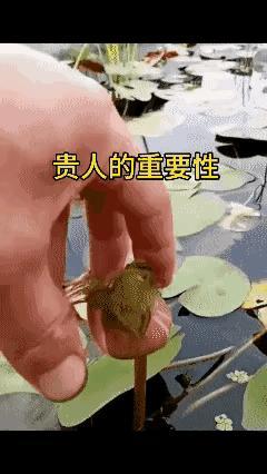 看到这个悟出什么了？
