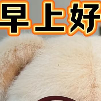 早安[超话]💐 ོ 𝗟𝗶𝗳𝗲☕️𓈒𓏸🌷既然在别人的世界里微不足道