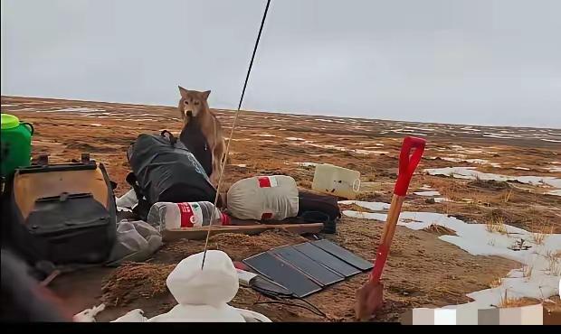 这篇故事展现了一次户外探险中的惊险遭遇，也引发了对自然和安全的深刻思考。以下是我