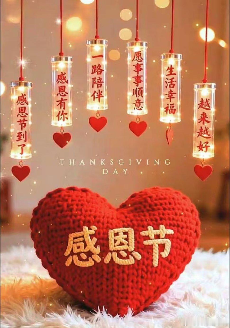 感恩相遇，不负时光，向阳而行🌿感恩节